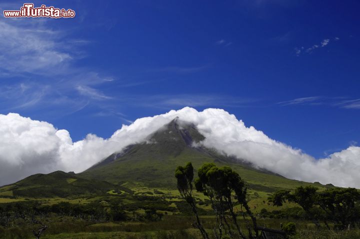 Immagine Seconda maggior isola delle Azzorre, Pico ha una superficie di poco meno di 450 chilometri quadrati e forma allungata. Dista circa 6 km dall'isola più vicina - Faial - ed è dominata dal vulcano della montagna di Pico, situata nella sua metà occidentale. Il punto più alto di quest'isola, che è anche la più meridionale del gruppo centrale dell'arcipelago delle Azzorre, si trova a 2.350 metri di altezza e rappresenta la maggior elevazione di tutto il Portogallo - © Rafal Gadomski / Shutterstock.com