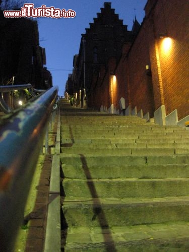 Immagine La scalinata che conduce alla Montagna Bueren di Liegi (Lidje)