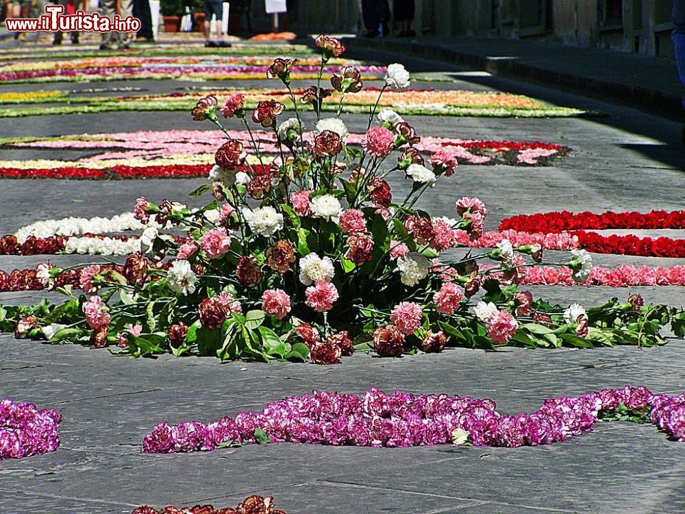 Infiorata Scarperia