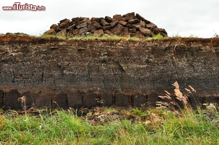 Immagine Scavo per la raccolta della torba a Lewis and Harris, Scozia - Un particolare degli scavi realizzati in un campo dell'isola per raccogliere la torba © M Rutherford / Shutterstock.com