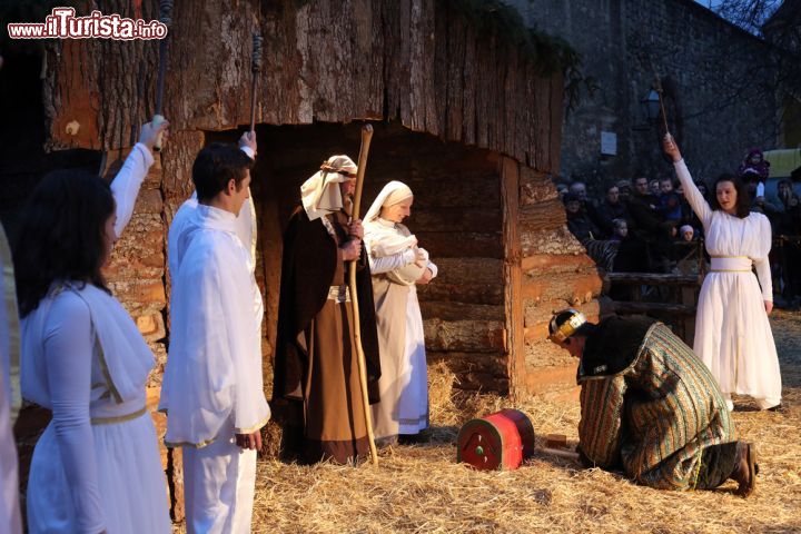 Immagine Scena della natività a Zagabria, Croazia. Lo spirito religioso durante il periodo dell'Avvento: in questa immagine la rappresentazione della nascita di Gesù di fronte alla cattedrale della città dove la comunità Cenacolo organizza ogni anno iniziative per il Natale - © Zvonimir Atletic / Shutterstock.com