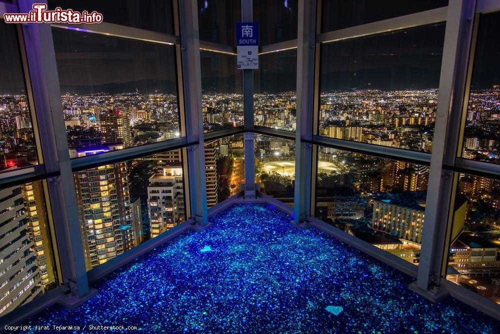Immagine Lo scenario che si ammira dalla torre di Fukuoka, Giappone. E' il più alto edificio della città con punto di osservazione dall'ultimo piano - © Jirat Teparaksa / Shutterstock.com