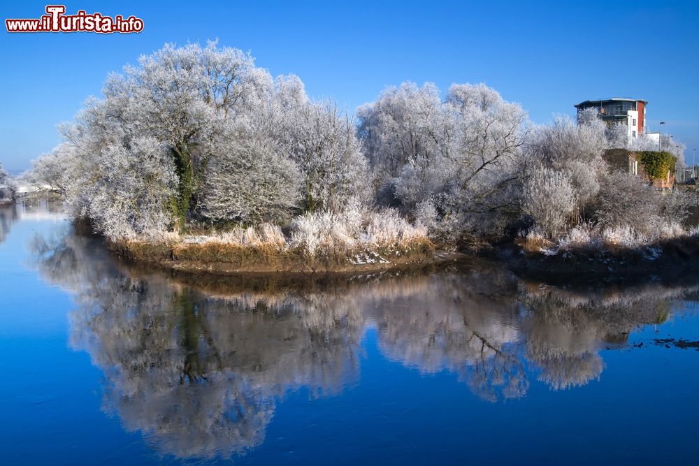 Immagine Scenario invernale in un parco della città di Limerick, Irlanda. Gli alberi ricoperti da uno strato di brina si rispecchiano nelle acque di questo suggestivo laghetto dalle tonalità azzurre.