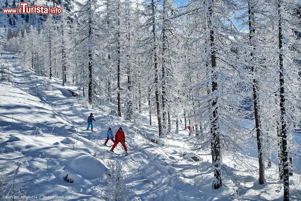 Immagine Sciatori allo ski resort del Monginevro, Francia: una suggestiva immagine del panorama innevato di questa località situata a un'altitudine di 1860 metri - © MikeDotta / Shutterstock.com