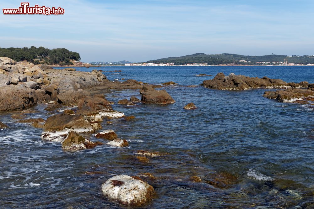 Immagine Scogli lungo il litorale a Le Pradet, Costa Azzurra (Francia).