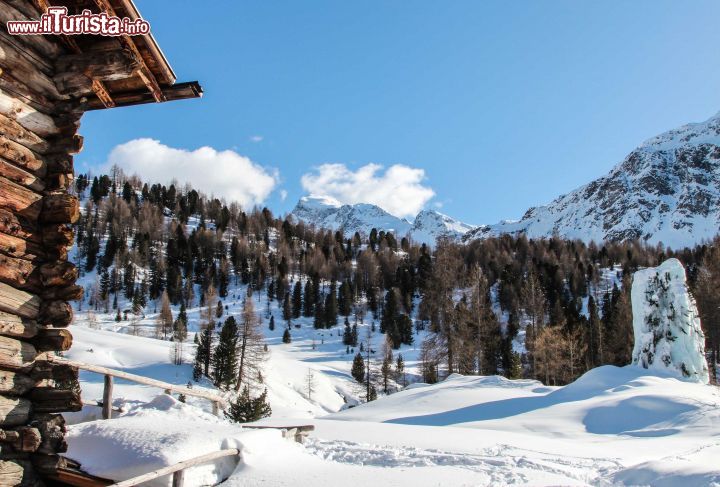 Immagine Scorcio alpino fotografato dal rifugio Caricc vicino a Bormio - © Michela Garosi / The Travelover