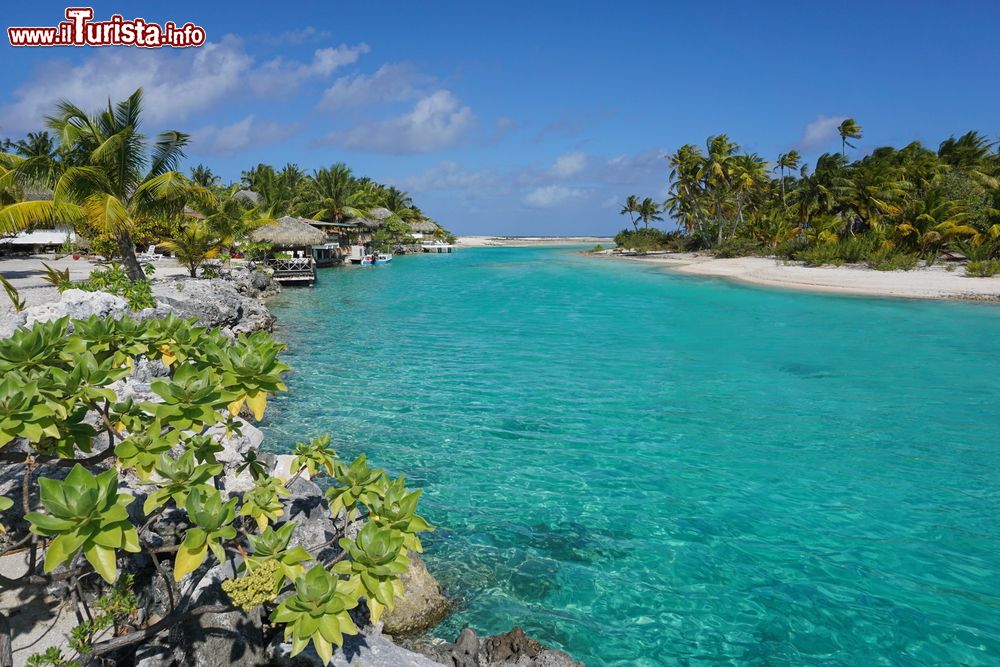 Immagine Uno scorcio del canale fra le isole dell'atollo di Tikehau (Tuamotu). Sul lato sinistro, le lussuose capanne di un resort.