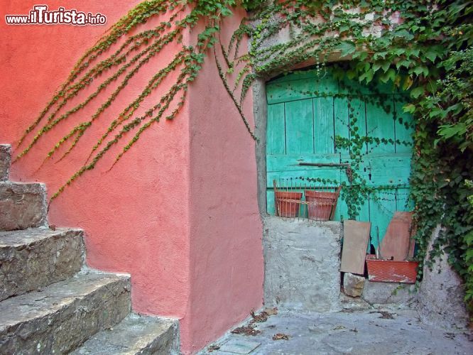 Immagine Scorcio del centro di Marciana Isola d Elba - © Andrzej Gibasiewicz / Shutterstock.com