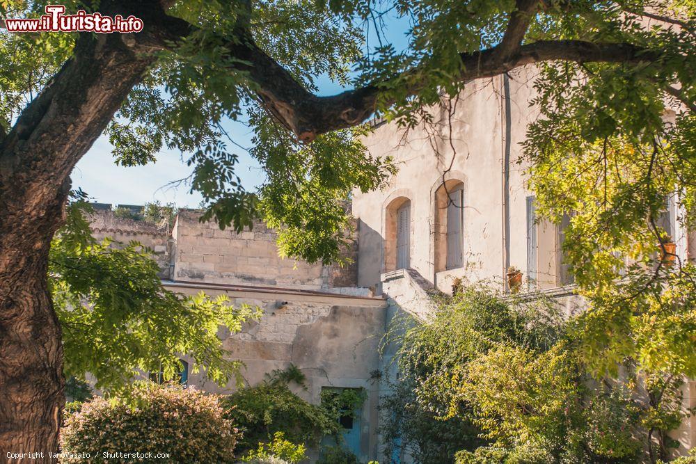 Immagine Uno scorcio del forte di Saint André a Villeneuve-les-Avignon (Francia) visto attraverso gli alberi - © VanoVasaio / Shutterstock.com