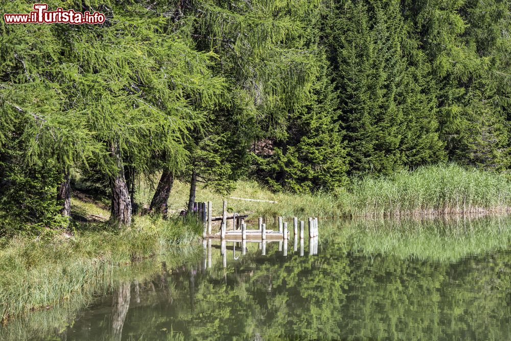 Immagine Uno scorcio del lago di Tret, Ronzone, Val di Non, Trentino. Attorno al 1920 questo piccolo stagno è stato trasformato in un bacino artificiale a fini turistici grazie alla creazione di una diga alta sei metri e mezzo e lunga circa 70.
