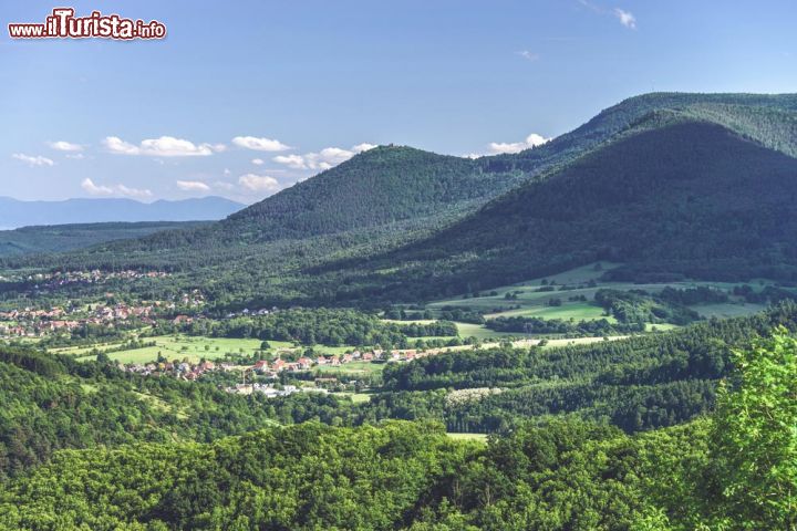 Immagine Uno scorcio della cittadina tedesca di Breisach am Rhein vista dalle colline dell'Alsazia francese - © 195696386 / Shutterstock.com