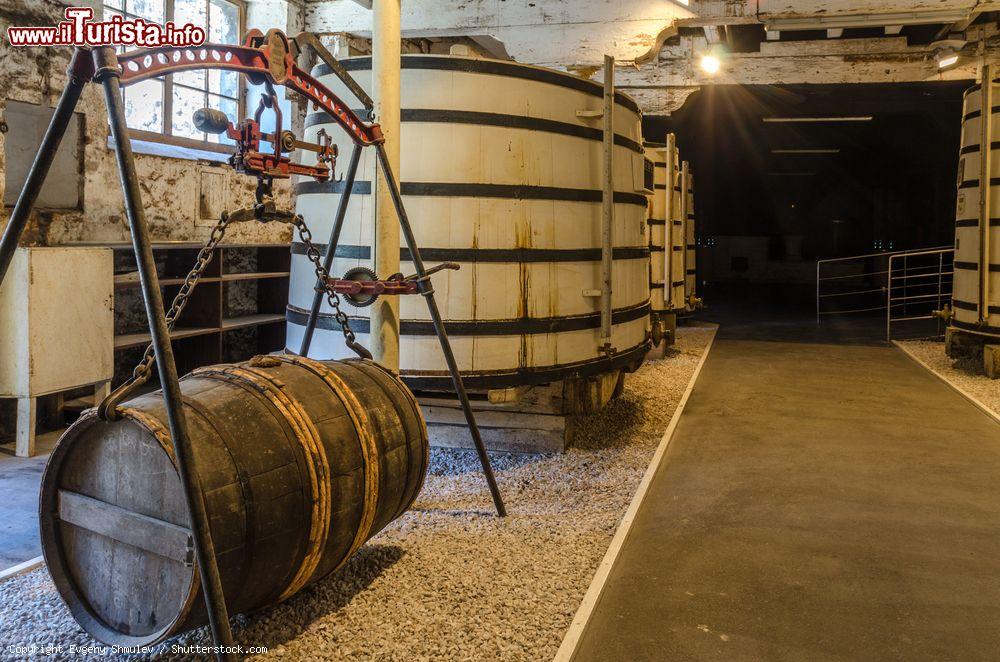 Immagine Scorcio della distilleria Otard a Cognac, Francia. Qui si produce la famosa acquavite che solo se proveniente dall'area delimitata dalla Charente può essere chiamata "cognac" - © Evgeny Shmulev / Shutterstock.com