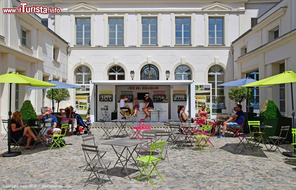 Immagine Uno scorcio di Avenue de Champagne, la via dei produttori di questo spumante a Epernay (Francia) - © Pack-Shot / Shutterstock.com