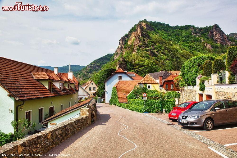 Immagine Uno scorcio di Durnstein, cittadina nota per la sua produzione di vino e di albicocche (Austria) - © Ekaterina Polischuk / Shutterstock.com