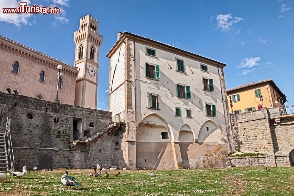 Immagine Scorcio di Santa Sofia dalla spiaggia del fiume Bidente in Romagna