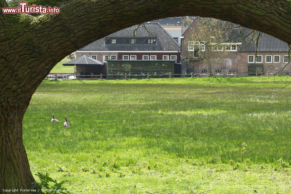 Immagine Scorcio di un antico mulino ad acqua nel parco di Sonsbeek, Arnhem (Olanda). A rendere l'immagine bucolica vi è anche un grande ramo ricurvo di quercia - © Pietersma / Shutterstock.com