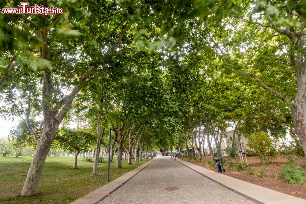 Immagine Scorcio fotografico del principale parco cittadino di Loulé, Portogallo.