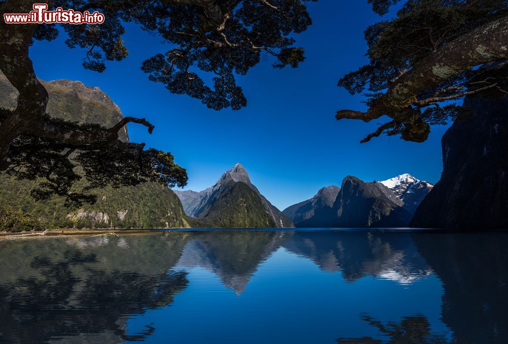 Immagine Scorcio mozzafiato del fiordo di Milford Sound in Nuova Zelanda