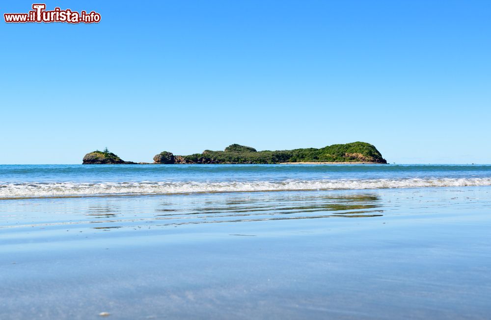 Immagine Uno scorcio panoramico delle acque dell'oceano che lambiscono le spiagge tropicali nei pressi di Mackay, Australia.