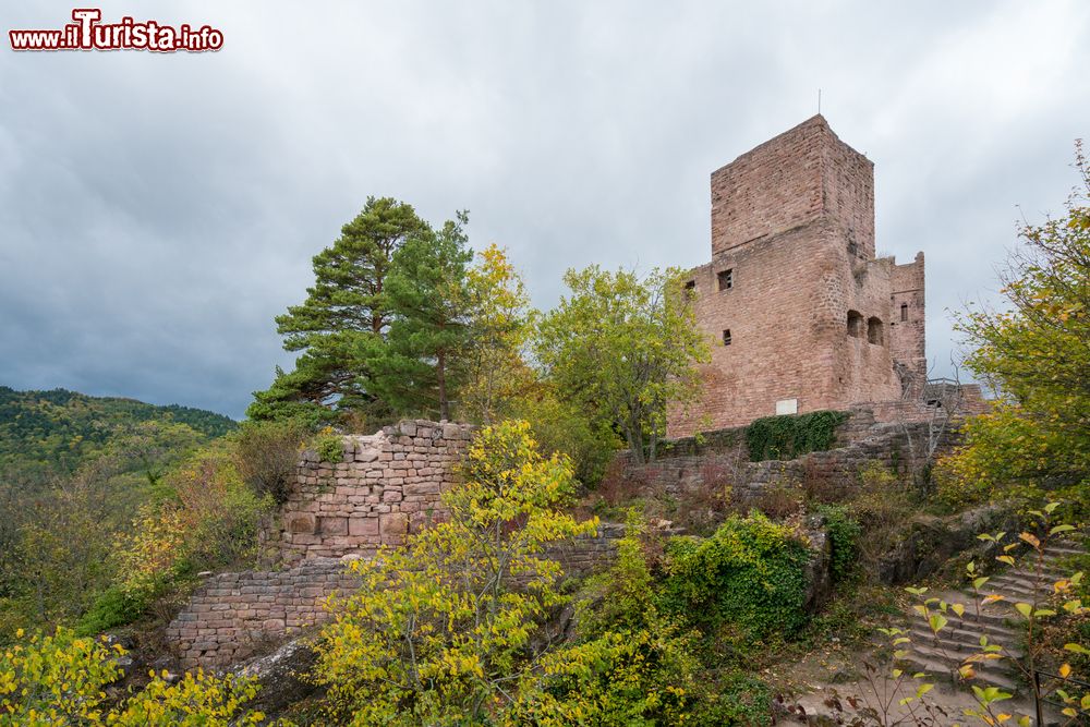 Immagine Uno scorcio panoramico dei Tre Castelli di Eguisheim nei pressi del castello di Hohlandsbourg, Francia.