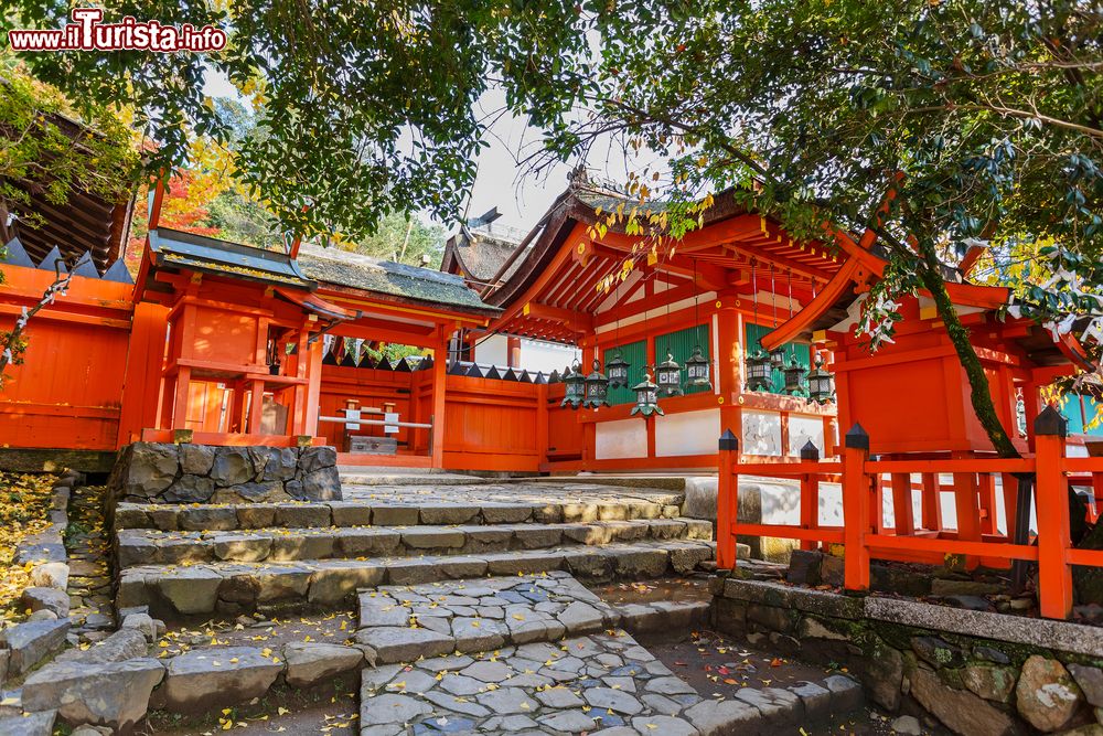 Immagine Scorcio panoramico del tempio di Kasuga a Nara, Giappone.