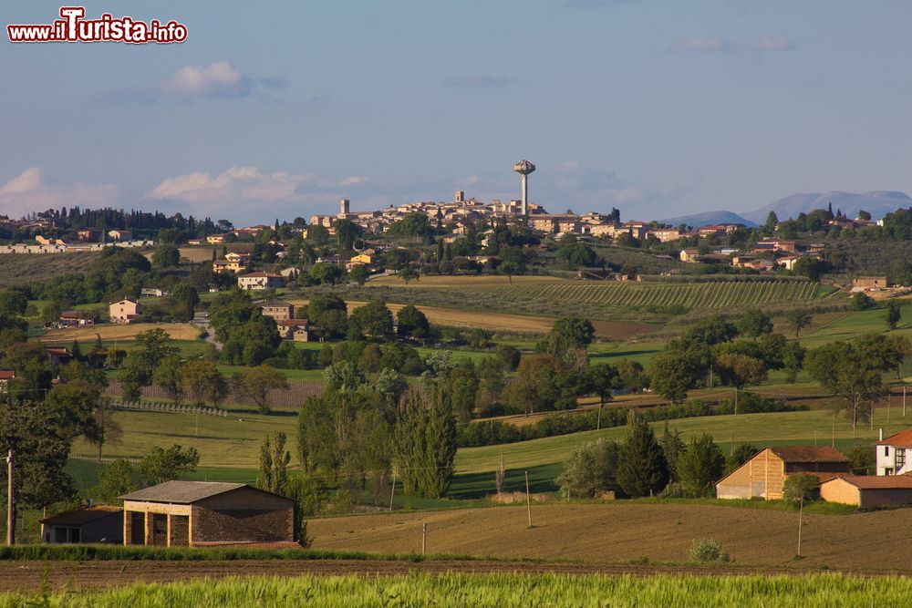 Immagine Uno scorcio panoramico della città medievale di Montefalco, provincia di Perugia. Punto di riferimento della regione vinicola in cui si producono eccellenti vini, Montefalco fa parte dei borghi più belli d'Italia.