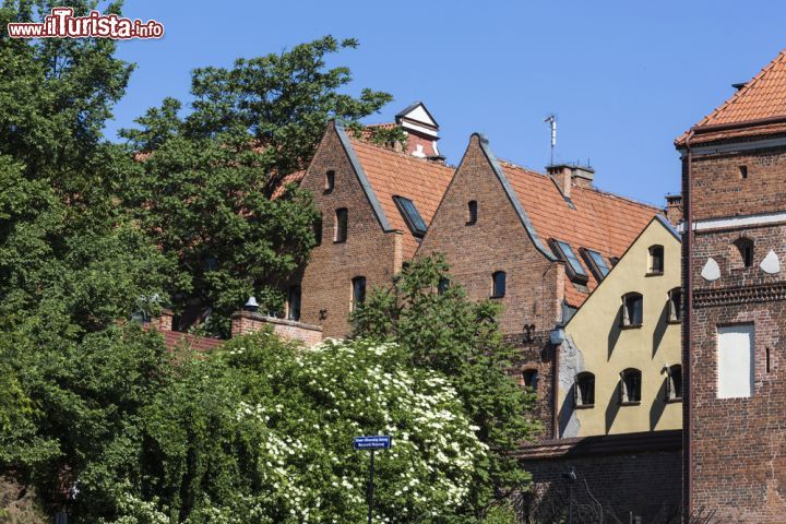 Immagine Scorcio panoramico di Torun, Polonia. Passeggiando alla scoperta di questa città, una delle più belle del paese, si possono ammirare suggestivi scorci panoramici. L'abitato di Torun è fra i più antichi della nazione, uno dei pochi ad essere sopravvissuto ai gravi danni della seconda guerra mondiale. Le sue origini risalgono al XII° secolo e la città raggiunse il suo massimo splendore nel corso del Medioevo quando entrò a far parte della Lega Anseatica - © Curioso / Shutterstock.com