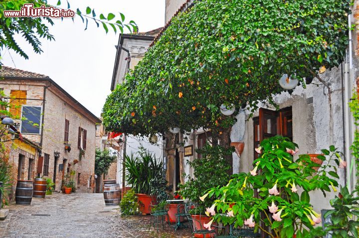 Immagine Scorcio panoramico nel borgo di Gradara, Italia. Un suggestivo angolo del villaggio storico di Gradara: passeggiando per le sue antiche vie si possono ammirare edifici e dettagli architettonici di grande prestigio