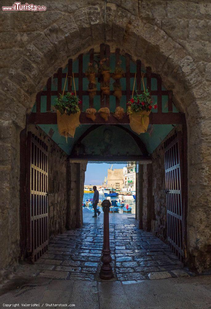 Immagine Scorcio panoramico sul porto di Monopoli attraverso una vecchia porta del centro storico, Puglia - © ValerioMei / Shutterstock.com