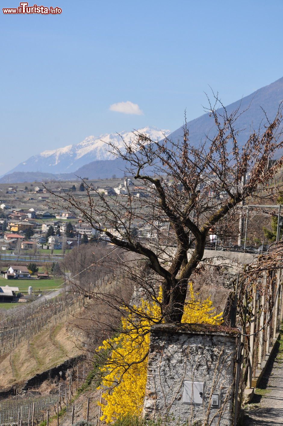 Immagine Scorcio primaverile dei dintorni di Chiuro in Valtellina