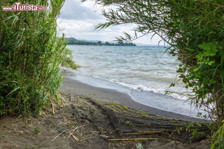 Immagine Scorcio di una spiaggia sul lago di Bolsena, Italia. Le acque del lago lambiscono la vegetazione che cresce rigogliosa sulle sue sponde - © FPWing / Shutterstock.com
