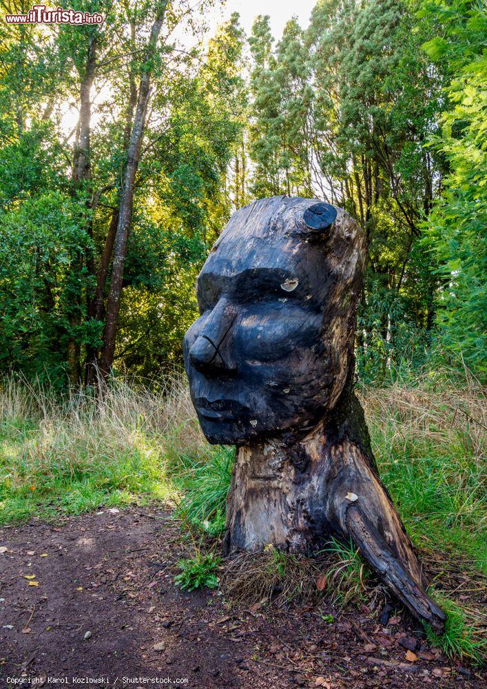 Immagine Una scultura fatta con il tronco di un albero nel Philippi Park di Puerto Varas, Cile - © Karol Kozlowski / Shutterstock.com