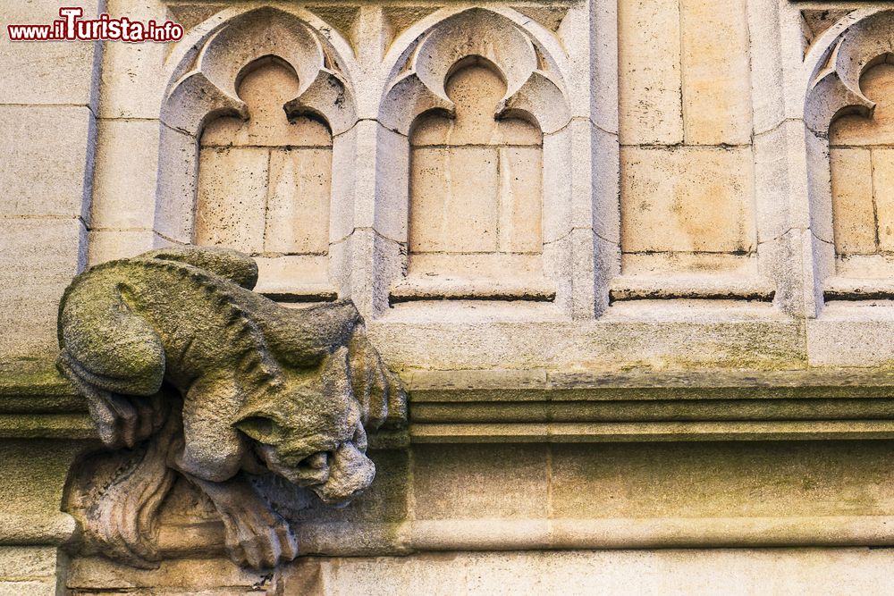 Immagine Scultura in pietra di un gatto selvatico che si arrampica su un muro nella città di Oxford, Inghilterra (UK).