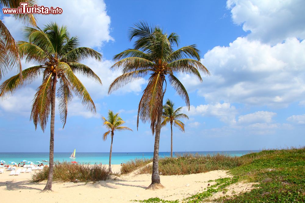Immagine Sdraio e ombrelloni sulla spiaggia Megano nei pressi della città La Havana, Cuba.