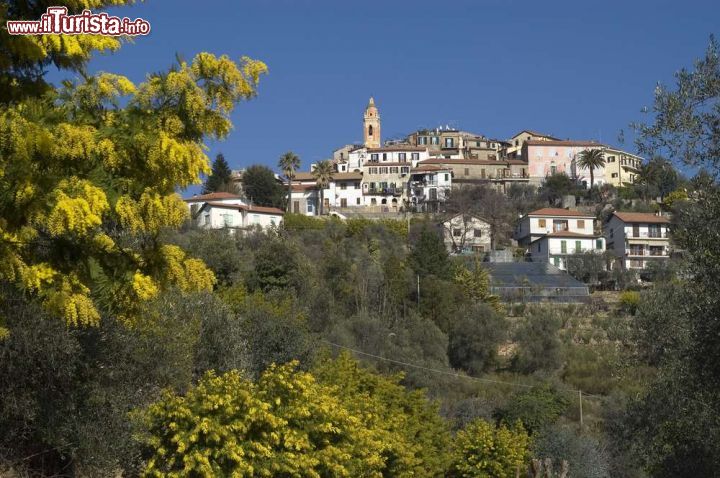 Le foto di cosa vedere e visitare a Seborga