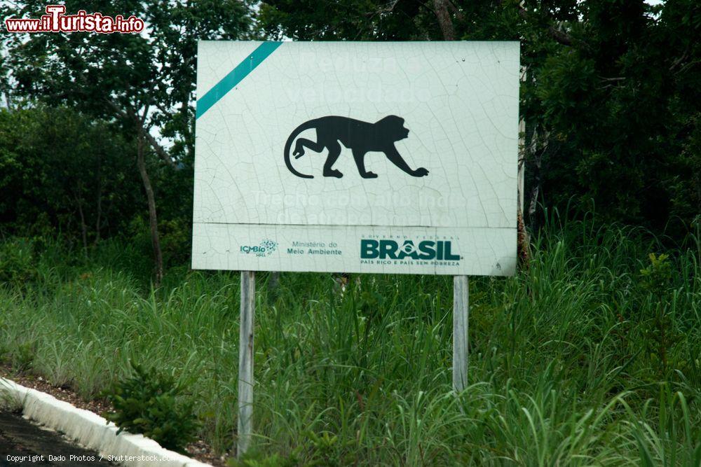 Immagine Segnaletica animali lungo la via per Chapada dos Guimaraes e Cuiaba, Brasile - © Dado Photos / Shutterstock.com