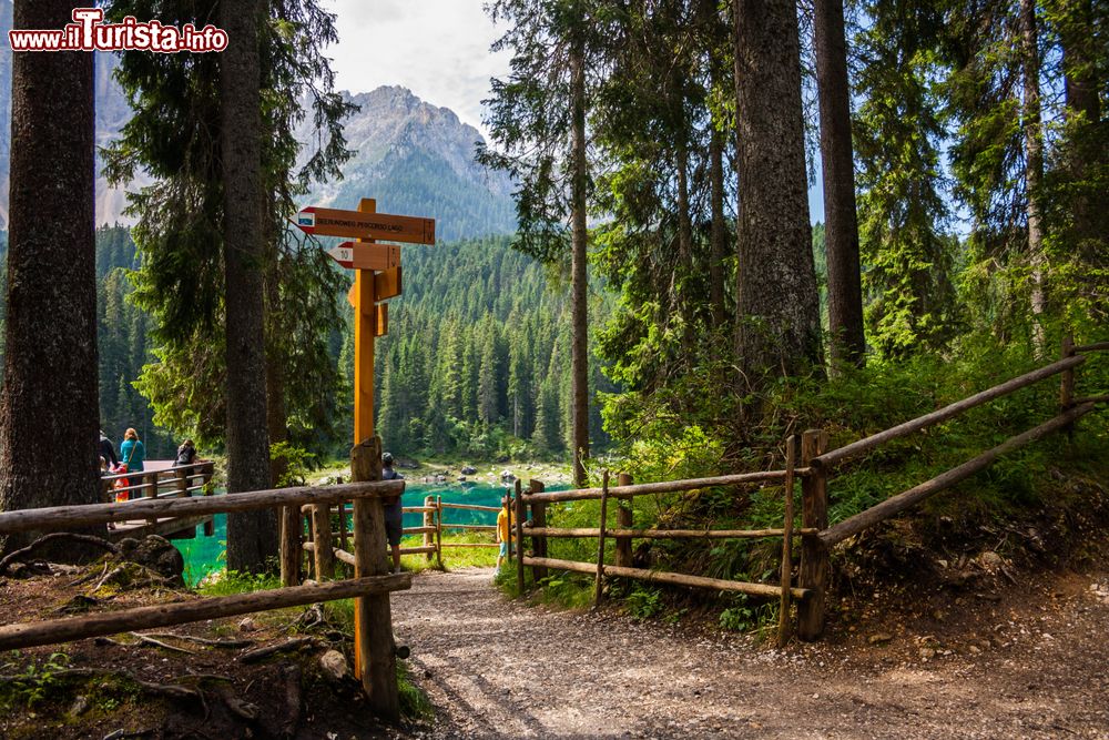 Immagine Sentieri intorno al Lago di Carezza (Karersee): siamo in Val d'Ega, vicino a Nova Levante,  Bolzano, Trentino Alto Adige.