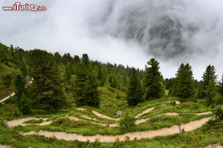 Immagine Sentiero didattico: si tratta di un interessante sentiero interattivo che si snoda sullo Schlick 2000 e che in circa due ore conduce al punto di ristoro della Schlickeralm. Perfettamente curato, è adatto anche alle famiglie con bambini.