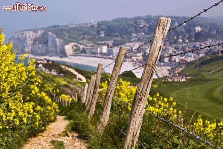 Immagine Sentiero fra le colline fiorite della cittadina di Etretat, Normandia, Francia - © Marius GODOI / Shutterstock.com