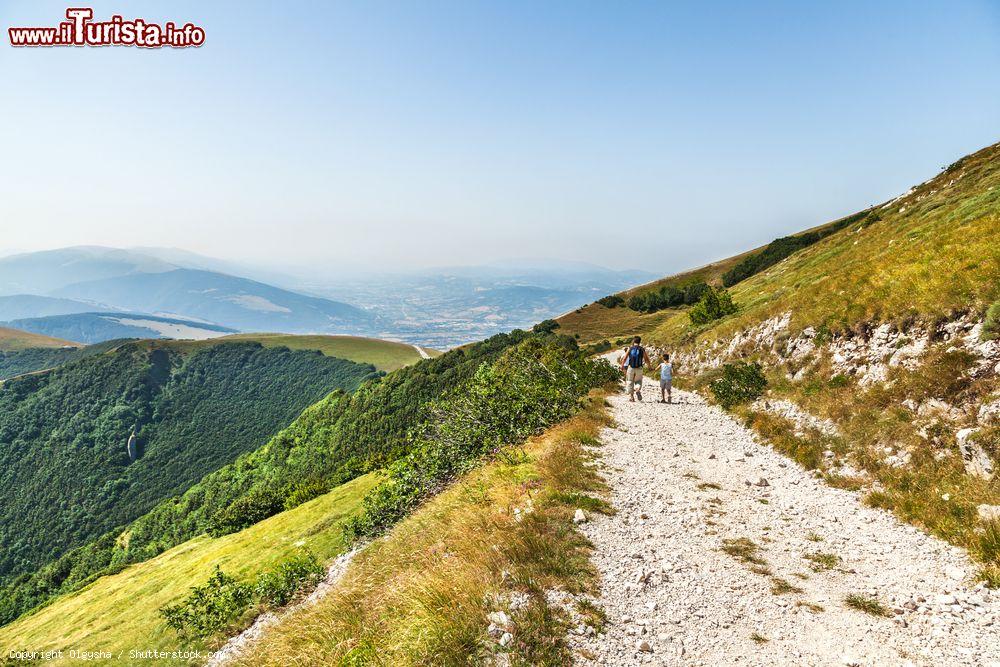 Immagine Sentiero nelle colline che circondano Fabriano nelle Marche e che danno occasioni di trekking e passeggiate ai turisti - © Olgysha / Shutterstock.com