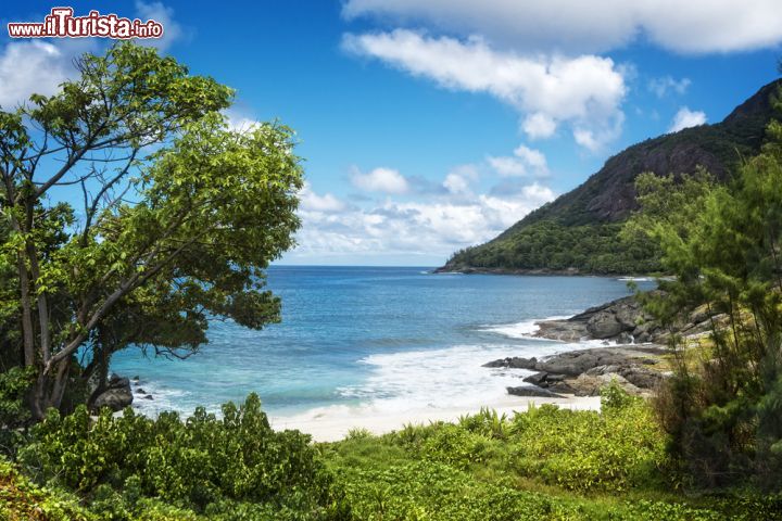Immagine Sentiero per Anse Cimitiere, Silhouette Island, Seychelles (Africa) - © Serge Vero / Shutterstock.com