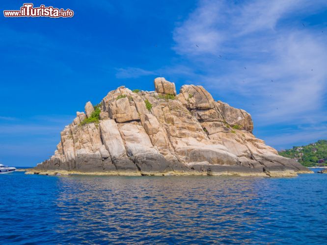 Immagine Shark Island nei pressi di Koh Tao, Thailandia. Questa località è famosa per gli appassionati di immersioni - © Takashi Images / Shutterstock.com