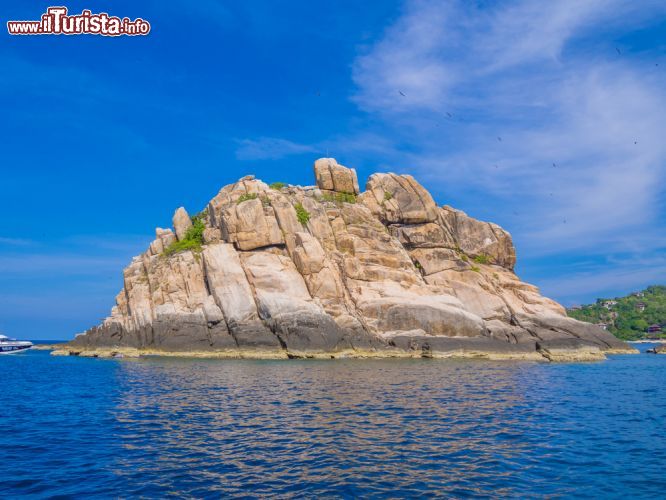 Immagine Shark Island nei pressi di Koh Tao, Thailandia. Questa località è famosa per gli appassionati di immersioni - © Takashi Images / Shutterstock.com