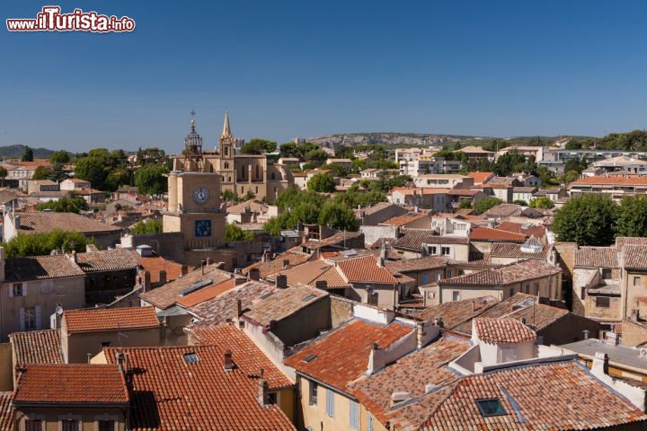 Immagine Una veduta panoramica di Salon-de-Provence dal castello (Château de l'Empéri). Salon è nota soprattutto perché qui vi abitò Nostradamus tra il 1547 e il 1566 - foto © Crobard / Shutterstock.com