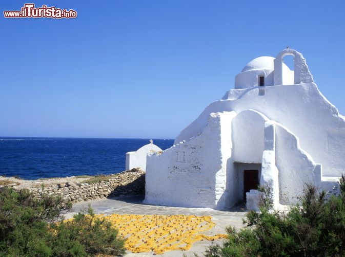 Immagine Chiesa bianca di Paros con il Mar Egeo sullo sfondo, Grecia. Ogni angolo di quest'isola, da costa a costa, è disseminato di cappelle bianche che in passato vivevano nella preoccupazione delle incursioni dei pirati tanto da essere circondate da mura di protezione con una corte interna. Ognuna di queste chiese è legata ad un avvenimento storico o a un miracolo; si presentano inoltre con una grande varietà di stili: sono piccole o larghe, con poche cupole, con una semplice croce o con campanili artistici - © P Phillips / Shutterstock.com