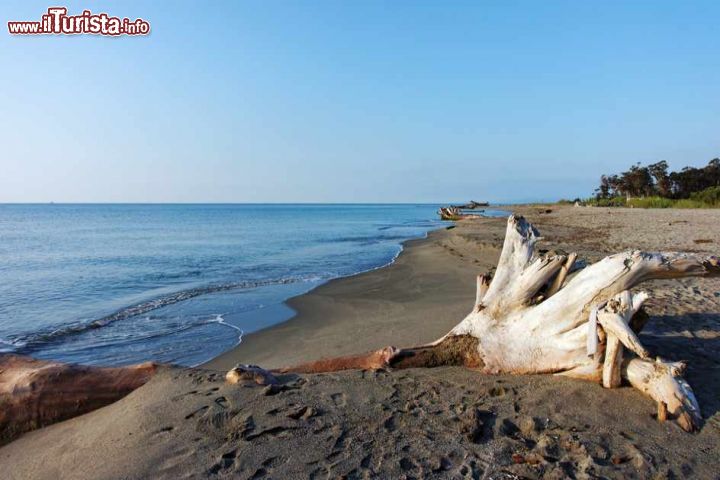 Immagine Il mare ad Aleria: le meraviglie della costa orientale della Corsica - Il tratto di costa tra Bastia e Porto Vecchio, nell'Alta Corsica, tocca anche la zona della Costa Serena e di Aleria ed è caratterizzato da splendide spiagge di sabbia bianca, mare limpido e paesaggi mozzafiato in cui mare e montagna si alternano splendidamente.  - © bensliman hassan / Shutterstock.com