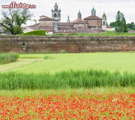Immagine Dalla natura all'arte, guardando Sabbioneta - un bellissimo tappeto di fiori ci introduce a una visione del centro storico di Sabbioneta, splendida cittadina del mantovano recentemente dichiarata "patrimonio dell'umanità" dall'UNESCO. La città fu fondata dai Gonzaga nel XVI secolo ed è dunque un bellissimo esempio dell'arte e dell'architettura rinascimentali, che si avviavano in quel periodo alla ricerca delle forme e della struttura della città ideale, principi secondo i quali fu infatti costruita Sabbioneta. - © PHB.cz (Richard Semik) / Shutterstock.com