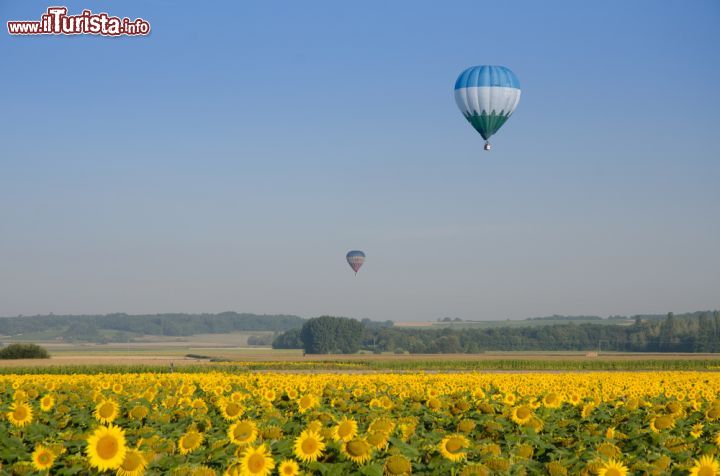 Immagine Mongolfiere in volo sui campi di girasole a Brissac-Quincé, nella Loira - © Evgeny Shmulev / Shutterstock.com