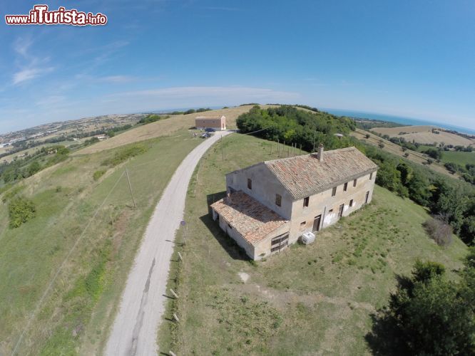 Immagine Le campagne e le colline marchigiane nei dintorni di Senigallia