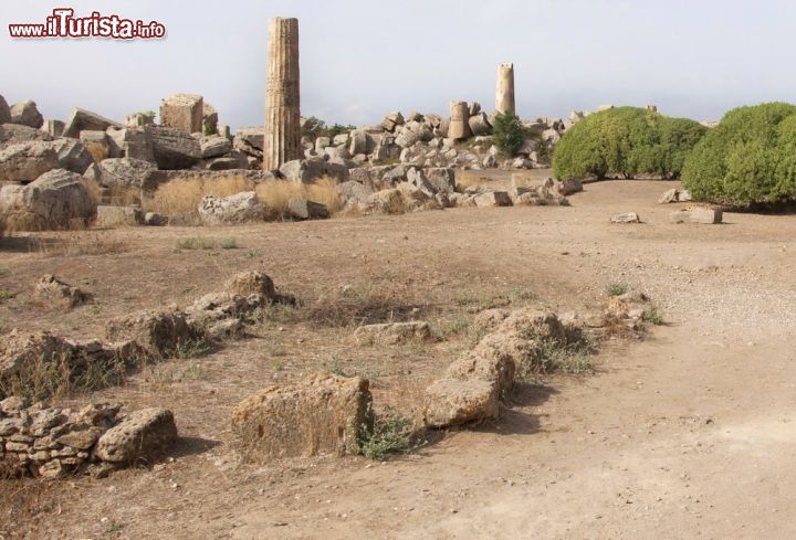 Immagine Il panorama dei resti archeologici della Valle dei Templi ad Agrigento (Sicilia) - Quest'area antica che racchiude moltissimi reperti storici e che qualsiasi turista non può mancare di visitare, dista 5 km dal centro di Agrigento ed è collegata benissimo con qualsiasi mezzo di trasporto. Consigliata comunque la camminata, poiché il percorso che porta in via Crespi e in via Panoramica dei Templi, non manca di regalare visioni immerse nel verde meravigliose - © cate_89 / Shutterstock.com